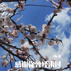 Mr.葛-感谢你曾经来过l（Mr.葛 remix）