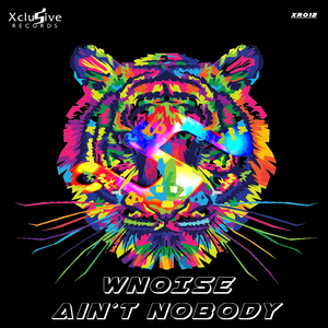 Ain´t NoBody