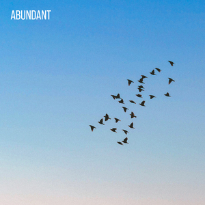 Abundant