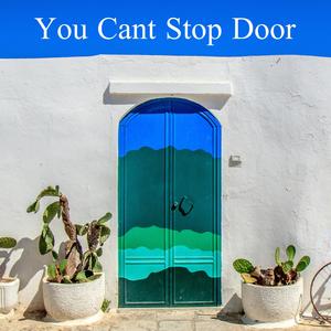 You Can't Stop Door