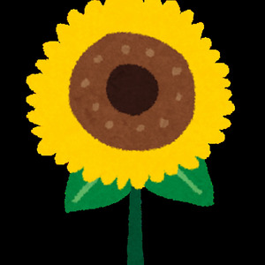 夏の風と君の影