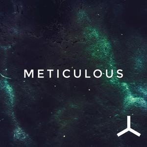 Meticulous