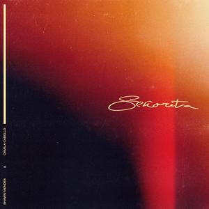 Shawn Mendes-Señorita(Trap版)（小小小章鱼 remix）