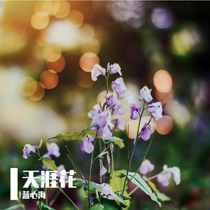 天涯花