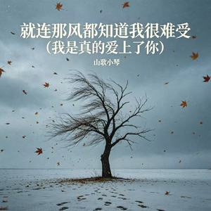 就连那风都知道我很难受（我是真的爱上了你)