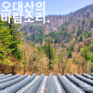 오대산에서 불어오는 시원한 바람소리 ASMR (팀 말리부)