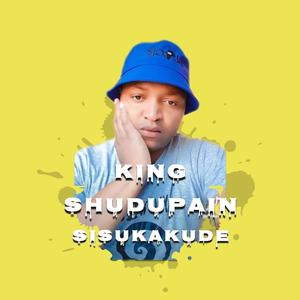 Sisukakude (feat. Moshka & Spacey nino)