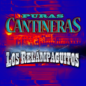 Me Sacaron del Tenampa (Remix)