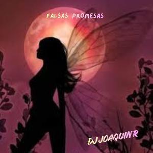 FALSAS PROMESAS