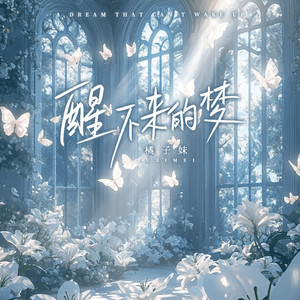 醒不来的梦 (DJ沈念版)