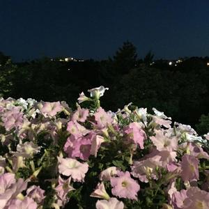 《23号即兴原创吉他》