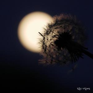 힘들고 지칠때는