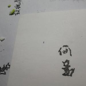 苦夏——记木苏里《某某》（翻自 子无余）