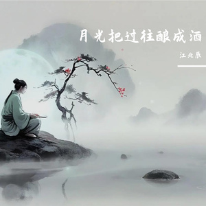 月光把过往酿成酒