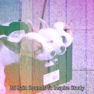 清新宁静的风暴