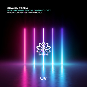 Wingardium Leviosa (Extended Mix)