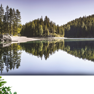 Rivière de l'environnement