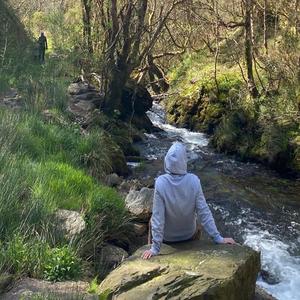 Kilometros de verdad