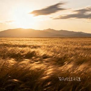 等风吹过千万里 (Cover 老板)