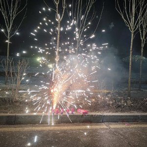 人们把难言的爱都埋入土壤里