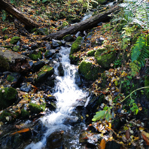 スリープ エィドゥ