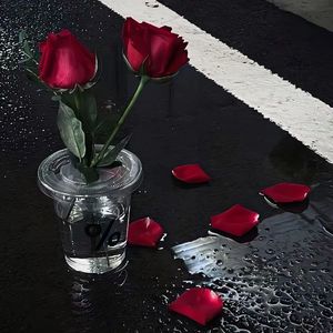 裂缝生长成星河