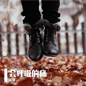 不如 (精美音乐)