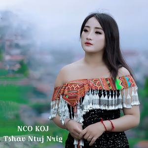 Nco Koj Tshav Ntuj Nrig