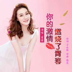 你的激情燃烧了青春（伴奏）