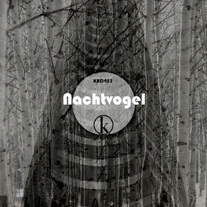Mondlicht (Original Mix)