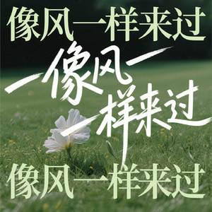 像风一样来过