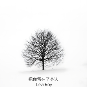 转身流的泪没让你看见