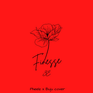 Finesse Cov
