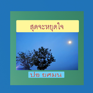 สุดจะหยุดใจ