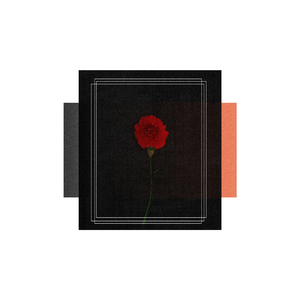 Сломанное сердце