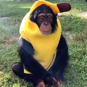 Behind Door (feat. GGM Kimbo)