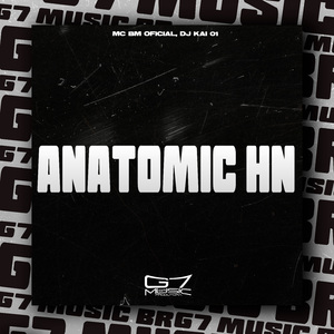 Anatomic Hn