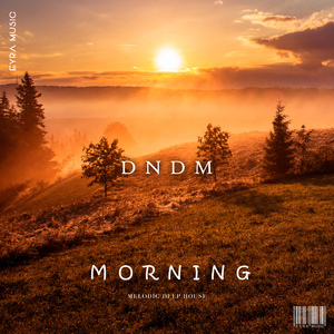 Morning