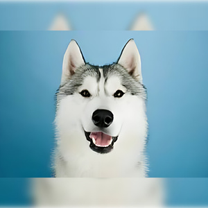 Мокрые глаза