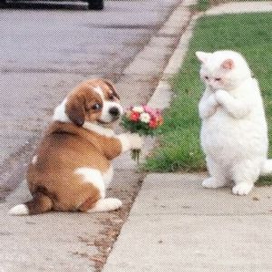 花花