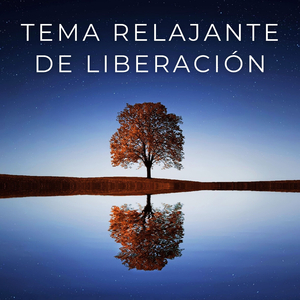 Segundos De Aflojamiento