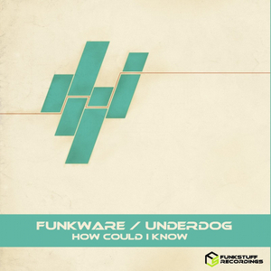 How Could I Know (Funkware VIP)