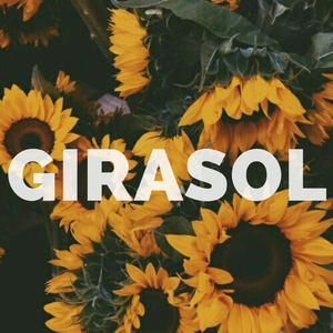 Girasol