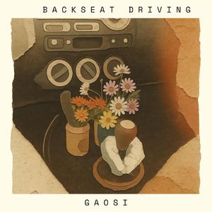 Backseat Driving