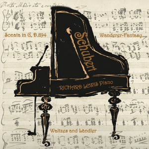 Piano Sonata No. 18 in G Major, D. 894: IV. Allegretto