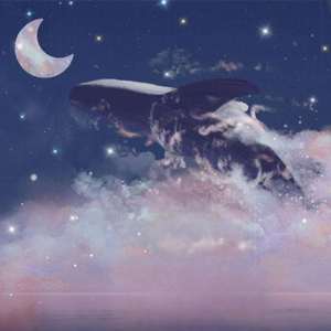 携星河入梦(prod by Red killer)