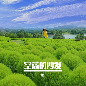 窗里的对望