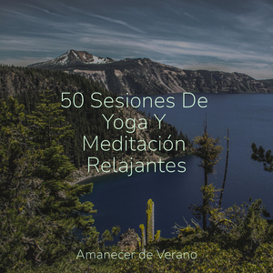 Lamento Solitario bajo la Luna