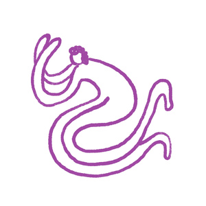 ossa (versione strumentale)