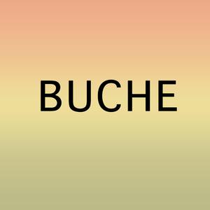 Buche